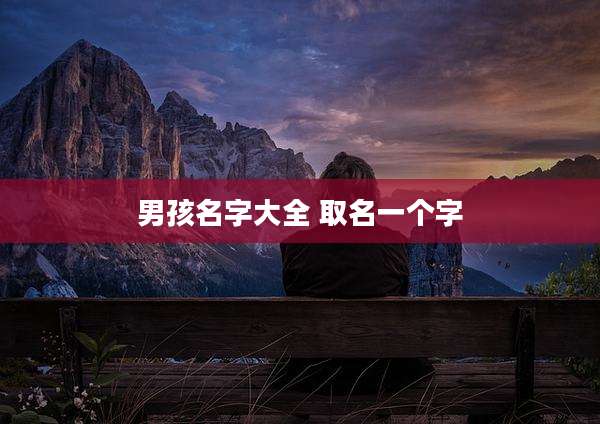 男孩名字大全 取名一个字