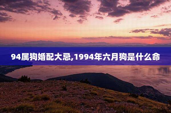 94属狗婚配大忌,1994年六月狗是什么命