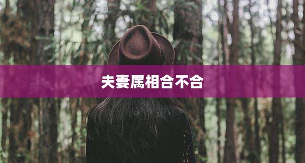 夫妻属相合不合
