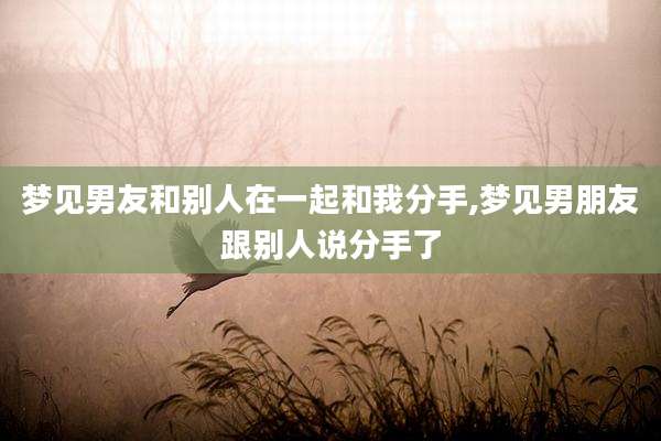 梦见男友和别人在一起和我分手,梦见男朋友跟别人说分手了