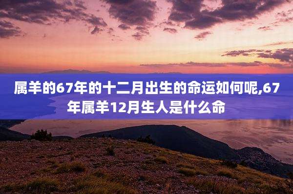 属羊的67年的十二月出生的命运如何呢,67年属羊12月生人是什么命