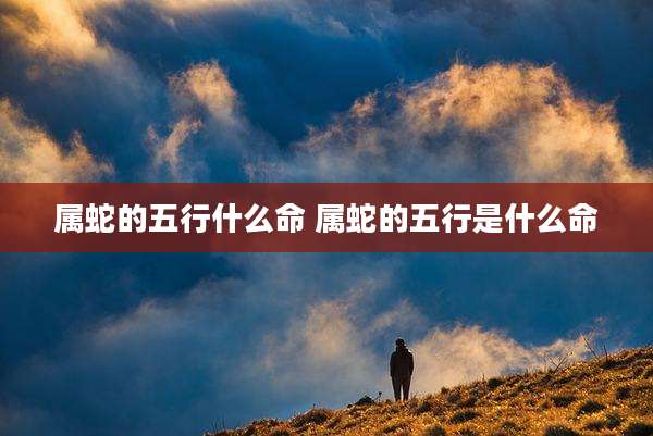 属蛇的五行什么命 属蛇的五行是什么命