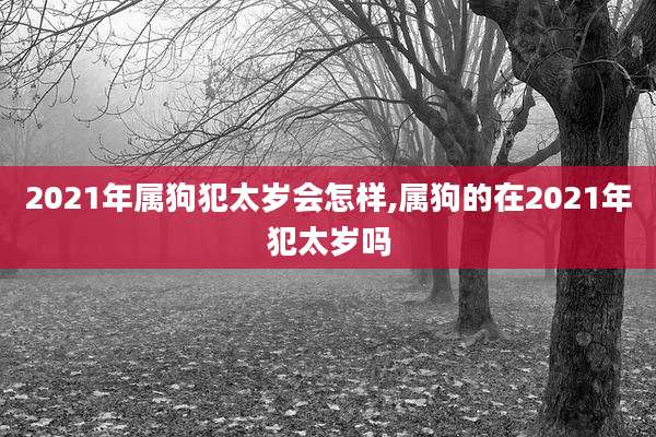 2021年属狗犯太岁会怎样,属狗的在2021年犯太岁吗