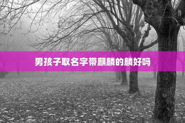 男孩子取名字带麒麟的麟好吗