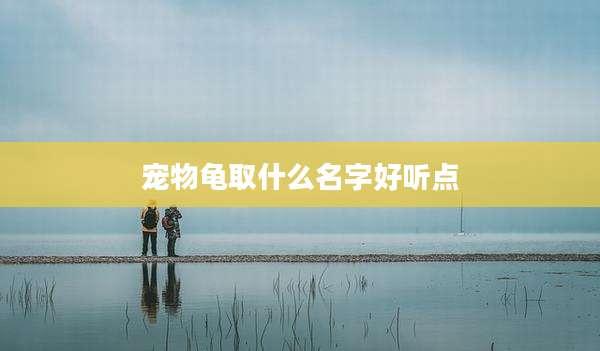 宠物龟取什么名字好听点