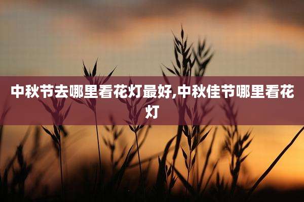 中秋节去哪里看花灯最好,中秋佳节哪里看花灯