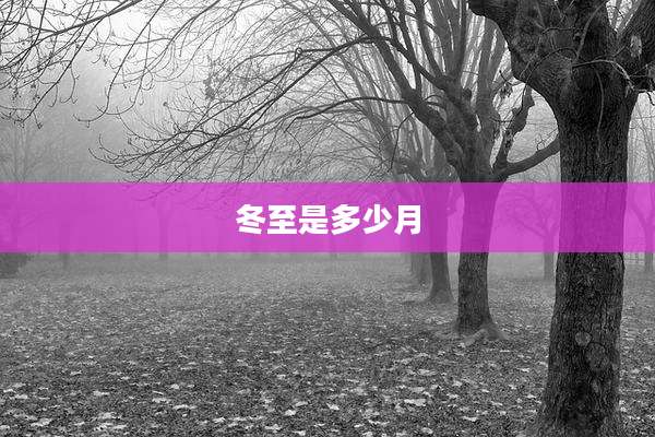 冬至是多少月