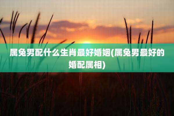 属兔男配什么生肖最好婚姻(属兔男最好的婚配属相)