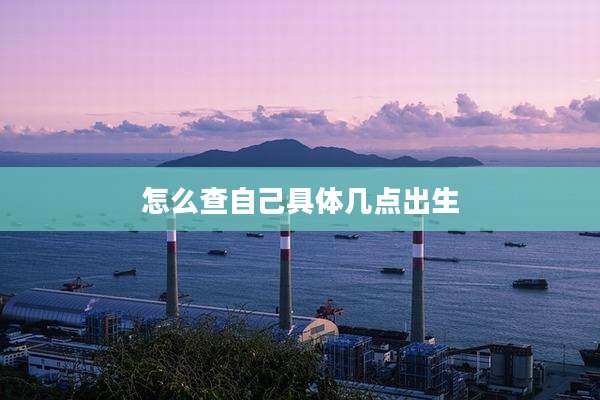 怎么查自己具体几点出生