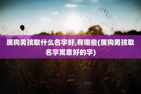 属狗男孩取什么名字好,有哪些(属狗男孩取名字寓意好的字)