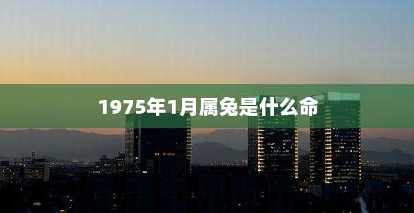 1975年1月属兔是什么命