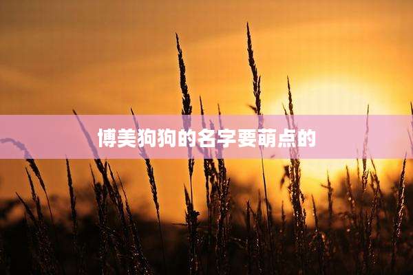 博美狗狗的名字要萌点的