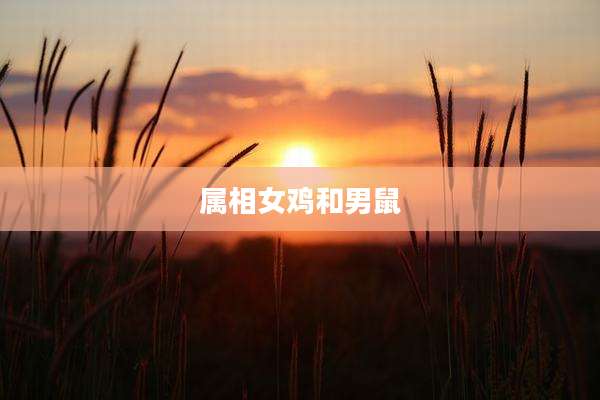 属相女鸡和男鼠