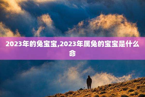 2023年的兔宝宝,2023年属兔的宝宝是什么命