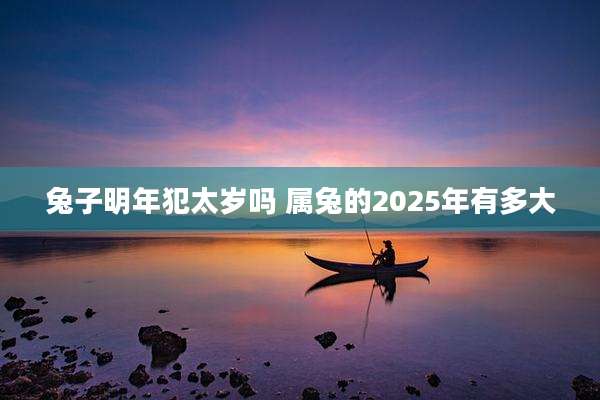 兔子明年犯太岁吗 属兔的2025年有多大