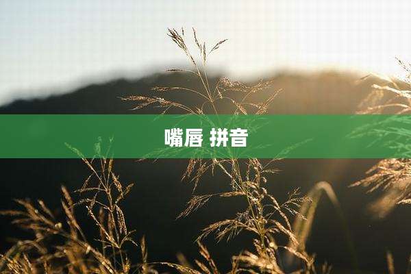 嘴唇 拼音