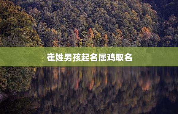 崔姓男孩起名属鸡取名
