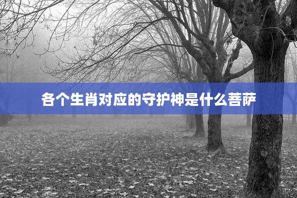 各个生肖对应的守护神是什么菩萨