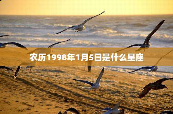 农历1998年1月5日是什么星座