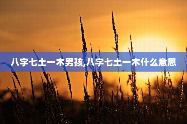 八字七土一木男孩,八字七土一木什么意思