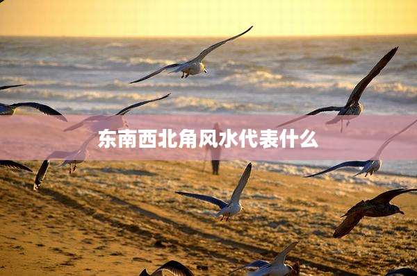 东南西北角风水代表什么