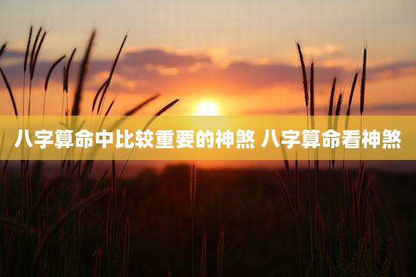 八字算命中比较重要的神煞 八字算命看神煞