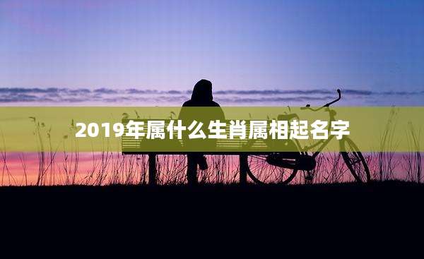 2019年属什么生肖属相起名字
