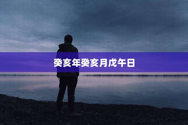 癸亥年癸亥月戊午日