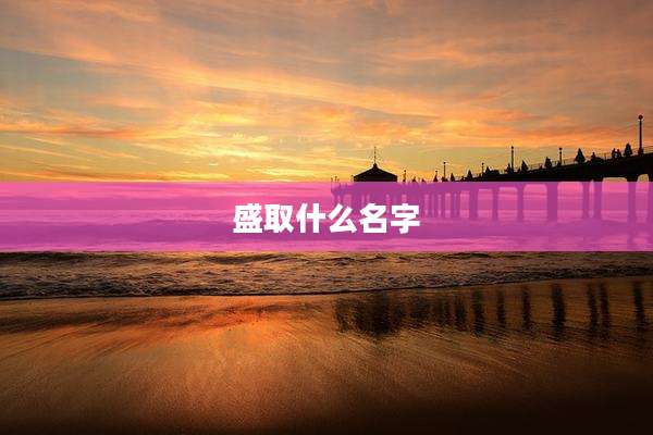 盛取什么名字