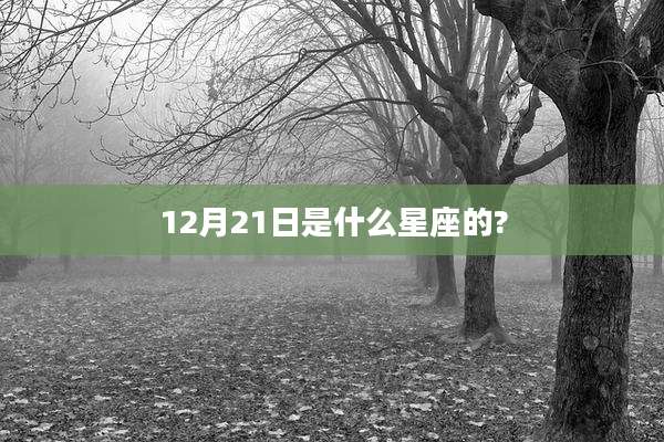 12月21日是什么星座的?