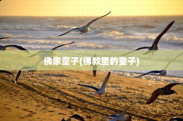 佛家童子(佛教里的童子)