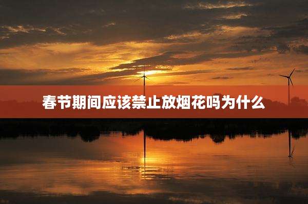 春节期间应该禁止放烟花吗为什么