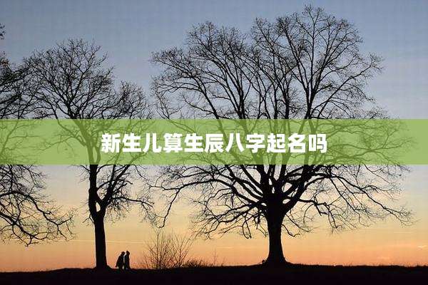 新生儿算生辰八字起名吗
