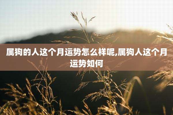 属狗的人这个月运势怎么样呢,属狗人这个月运势如何
