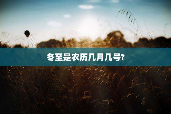冬至是农历几月几号?