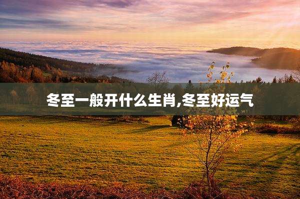 冬至一般开什么生肖,冬至好运气