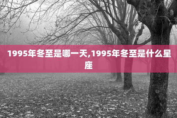 1995年冬至是哪一天,1995年冬至是什么星座