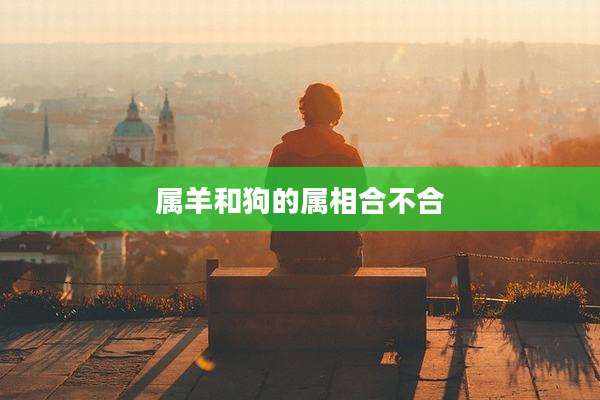 属羊和狗的属相合不合