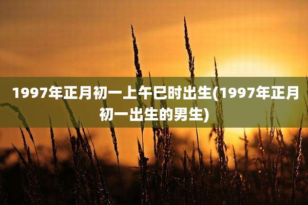 1997年正月初一上午巳时出生(1997年正月初一出生的男生)