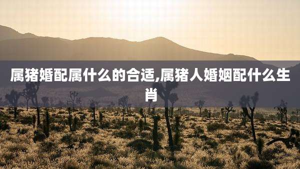 属猪婚配属什么的合适,属猪人婚姻配什么生肖