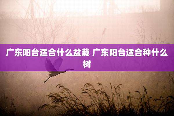 广东阳台适合什么盆栽 广东阳台适合种什么树