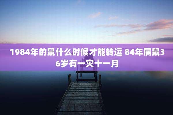 1984年的鼠什么时候才能转运 84年属鼠36岁有一灾十一月