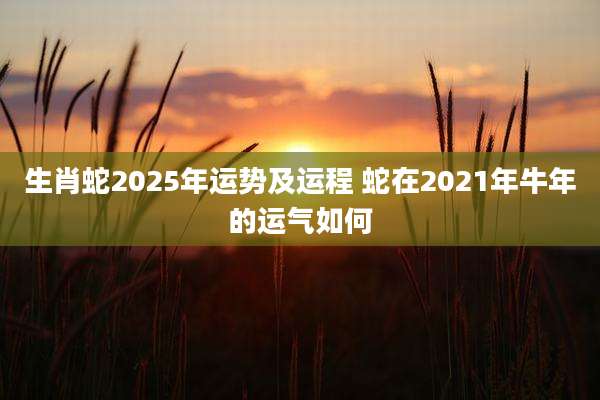 生肖蛇2025年运势及运程 蛇在2021年牛年的运气如何