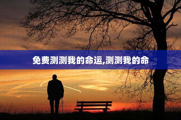 免费测测我的命运,测测我的命