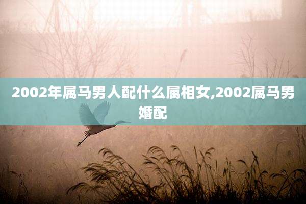 2002年属马男人配什么属相女,2002属马男婚配