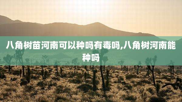 八角树苗河南可以种吗有毒吗,八角树河南能种吗
