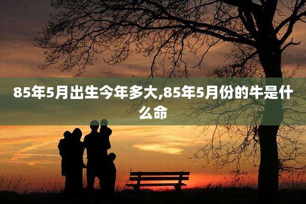 85年5月出生今年多大,85年5月份的牛是什么命
