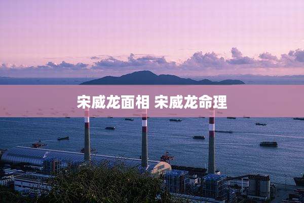 宋威龙面相 宋威龙命理