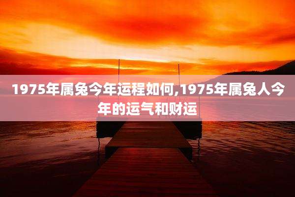 1975年属兔今年运程如何,1975年属兔人今年的运气和财运