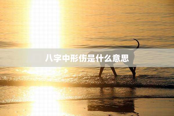 八字中形伤是什么意思
